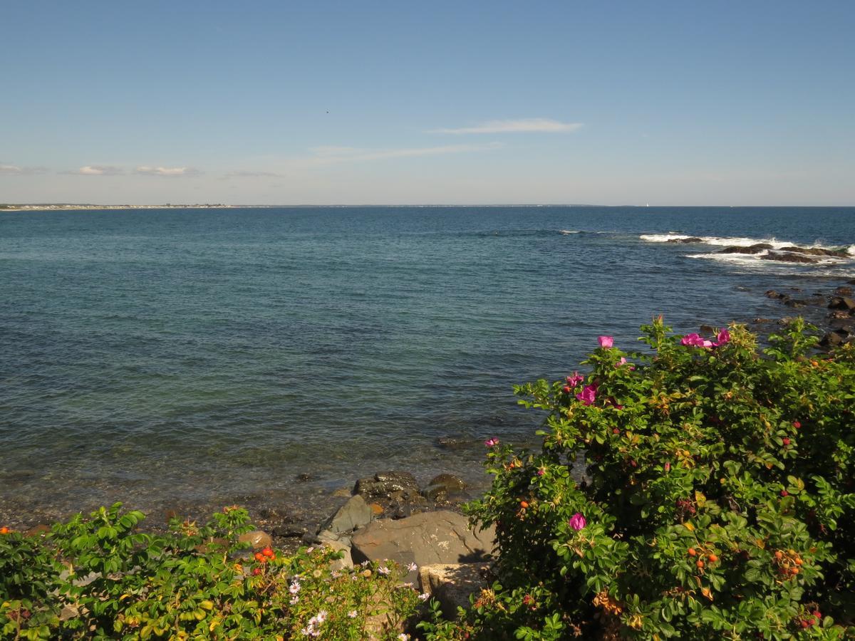 Blue Shutters Inn Carriage House Studios Ogunquit Εξωτερικό φωτογραφία